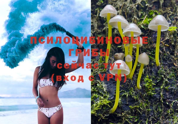 ешки Россошь