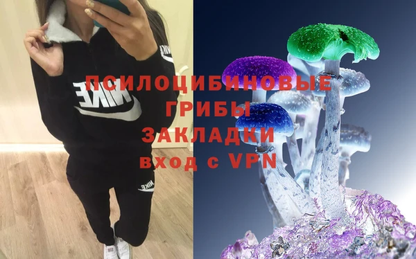 соль курить ск Богородицк