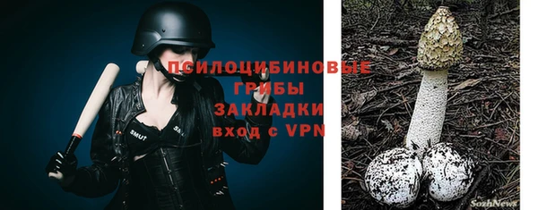ешки Россошь